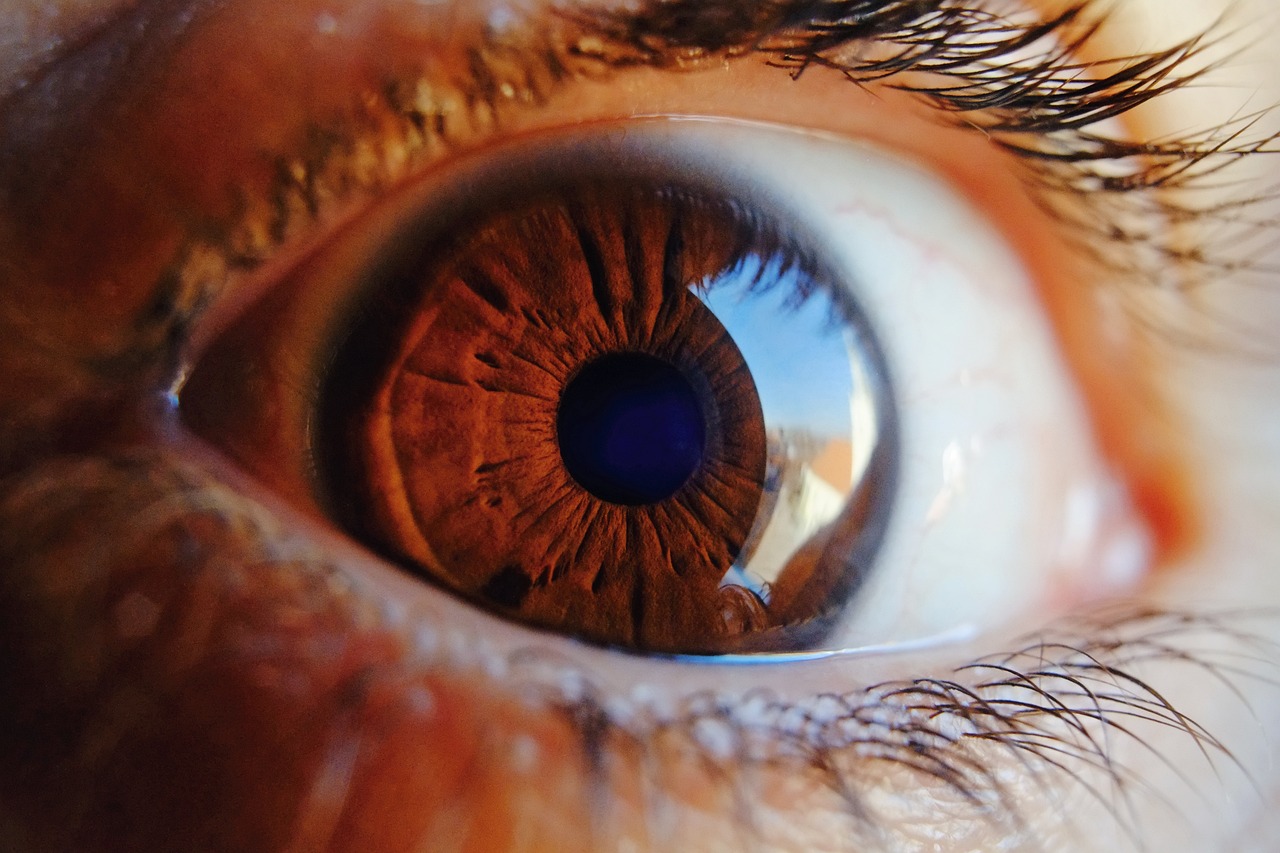 eye, macro, vision